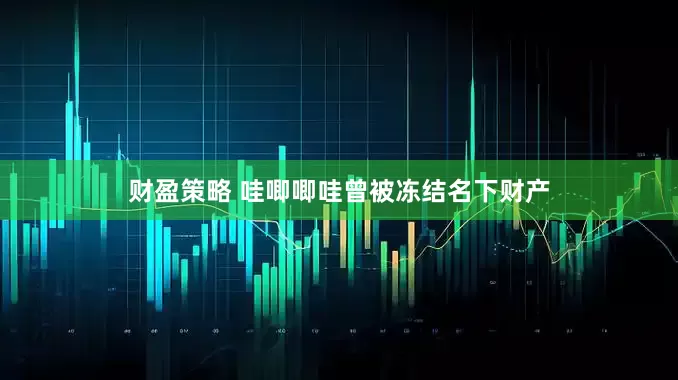 财盈策略 哇唧唧哇曾被冻结名下财产