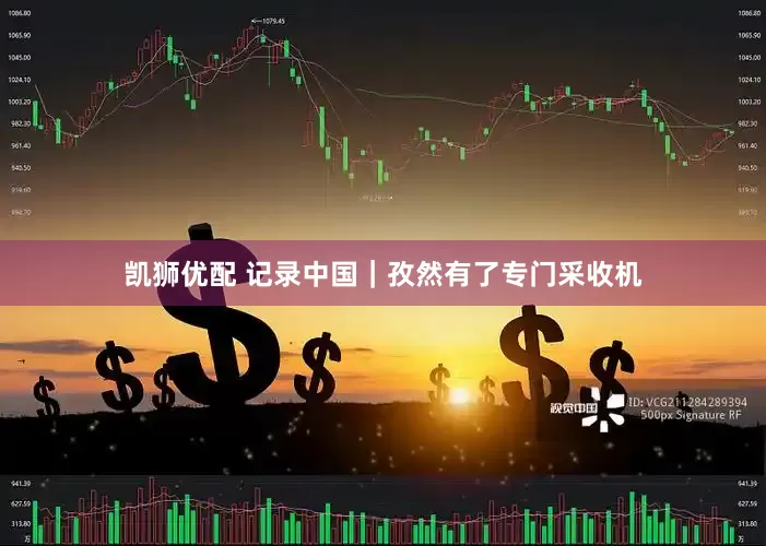凯狮优配 记录中国｜孜然有了专门采收机