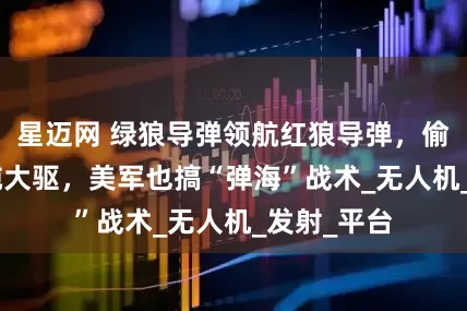 星迈网 绿狼导弹领航红狼导弹，偷袭055万吨大驱，美军也搞“弹海”战术_无人机_发射_平台