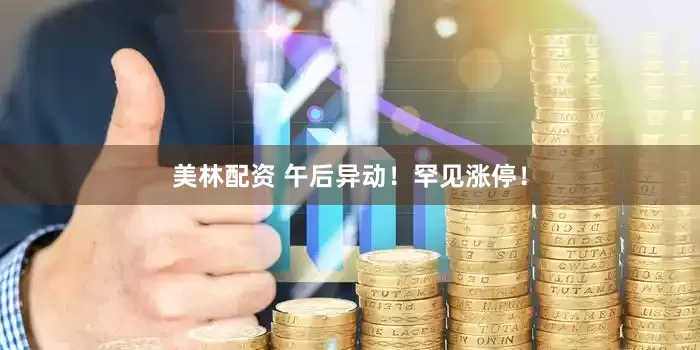 美林配资 午后异动！罕见涨停！