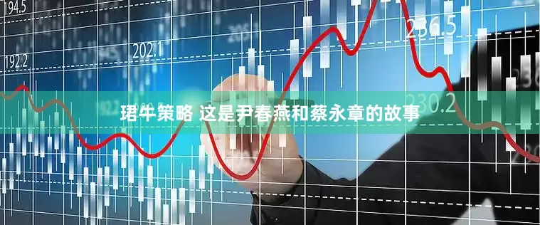 珺牛策略 这是尹春燕和蔡永章的故事